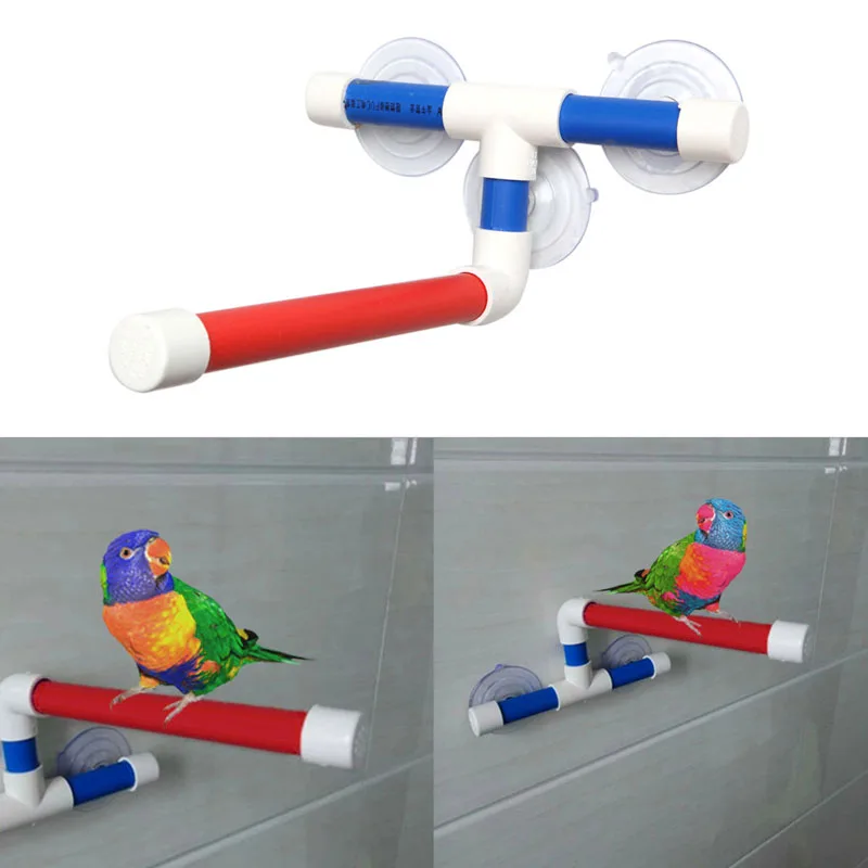 Pet Parrot Folding Bath Shower Standing Platform Rack Wall Suction Cup Bird Toys