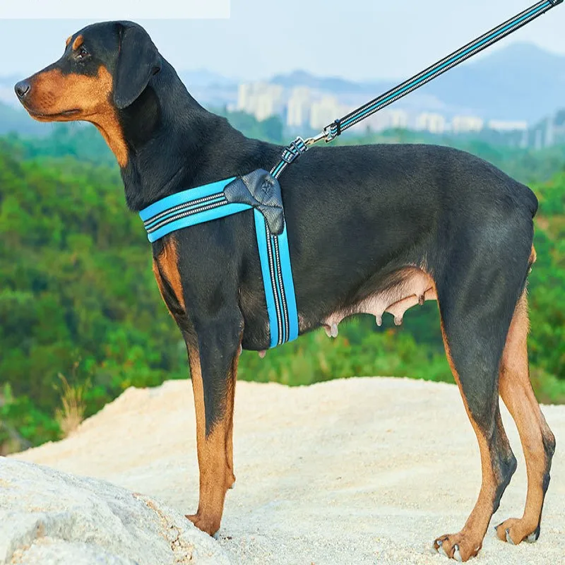

Dog Harness Leash Sets Pet Harness Collar Padded Large Medium Small Dog Harnesses Vest Dog Training Walking Safety Vest Harness