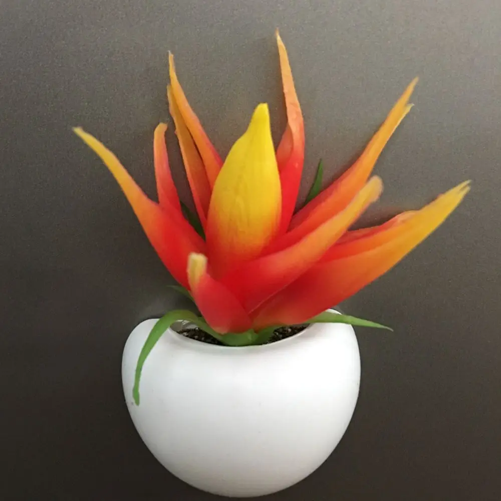 He48f8fa1aa2a4bceade10606d857b417d.jpg?width=1000&height=1000&hash=2000