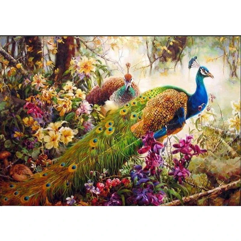 

Peacock Digital Oil Paintings,Picture By Numbers,Painting By Numbers For Adult Coloring By Number,Draw On Canvas For Home Decor