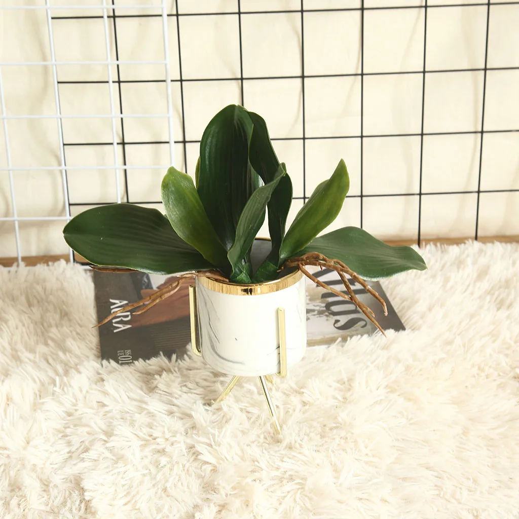 

Touch Phalaenopsis Leaf Artificial Plant Leaf Decorative Flowers Auxiliary Meterial Flower Decoration Orchid Leaves high quality