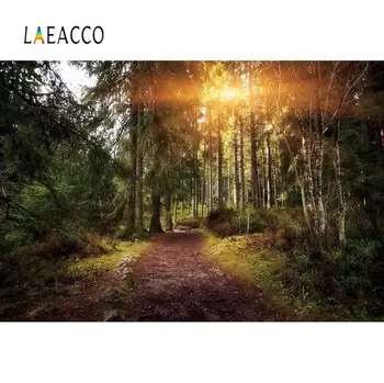 

Laeacco Forest Backdrops For Photography Tree Shrub Grass Pathway Sunshine Scenic View Photo Background Photocall Photo Studio