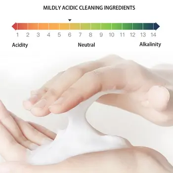 

Disinfectant, 250 Liquid Soap Foam Portable Refillable Bottles with 10 Efferve