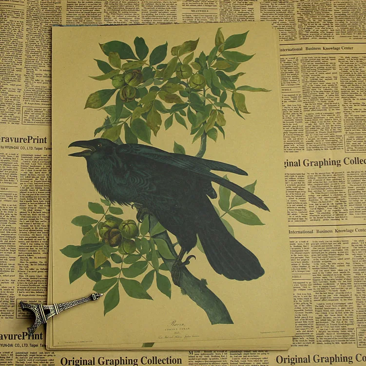 Постер Audubon картина с цветами и птицами словарь Сельское животное постер из