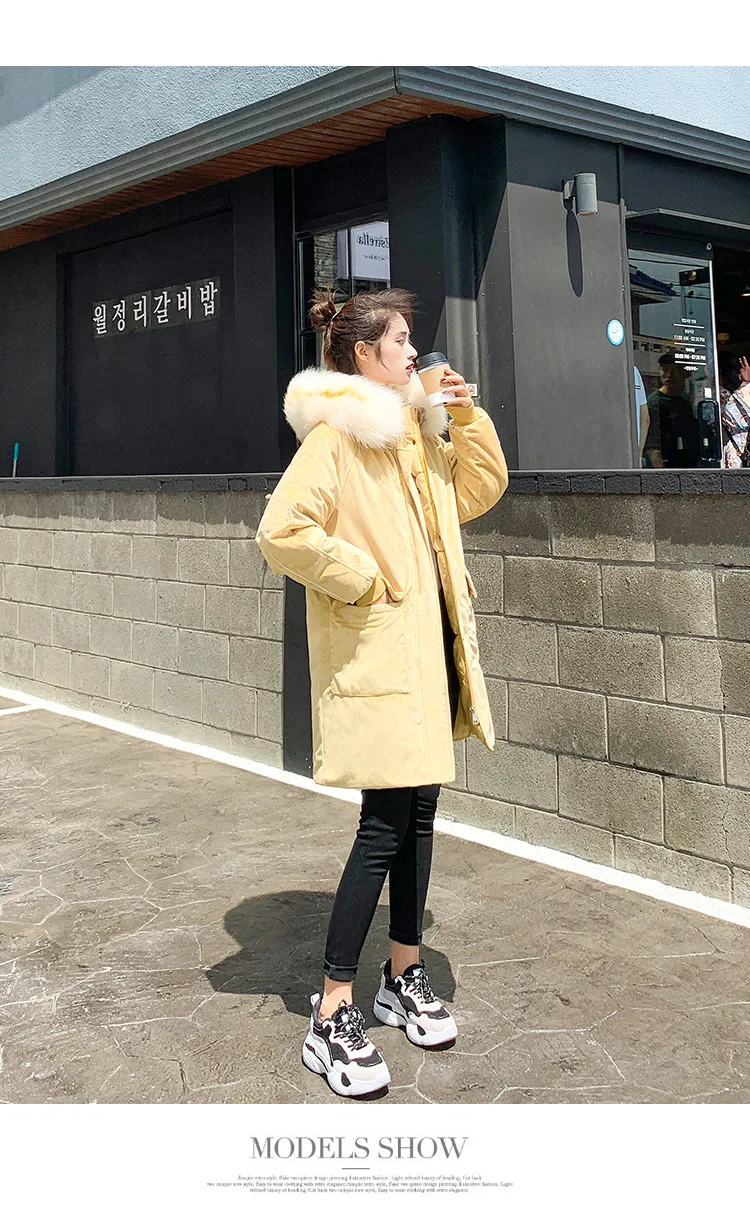  pleuche cotton2_01.jpg