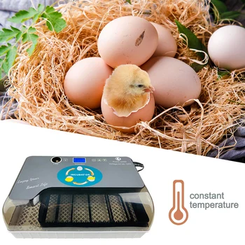 

Chicken Egg Incubator Automatic Brooder Machine 12 Eggs Hatchers Chicken Automatic Eggs Incubator Bird Quail Brooder
