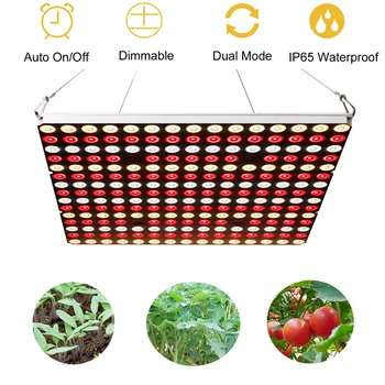 

2020 Newst Timing Dimmable Quantum Led Grow Light 600W Dual Mode Full Spectrum 3000K 5000K Mix 660nm 730nm for Indoor Veg/Bloom