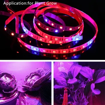 

1/2/3/4/5m Waterproof 5050 LED Strip Plant Growing Light Lamp Full Spectrum DC 12V Phyto Lamps Flexible Greenhouse Hydroponic