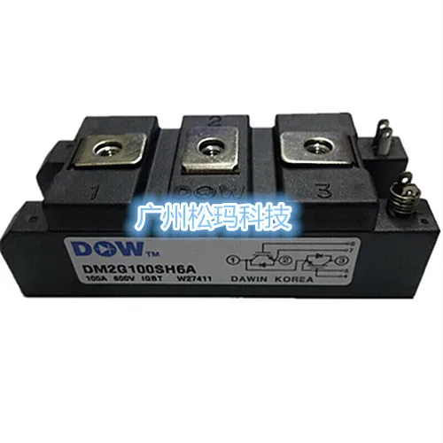 DM2G100SH6A 100A 600V IGBT Модули для обеспечения качества-SMKJ
