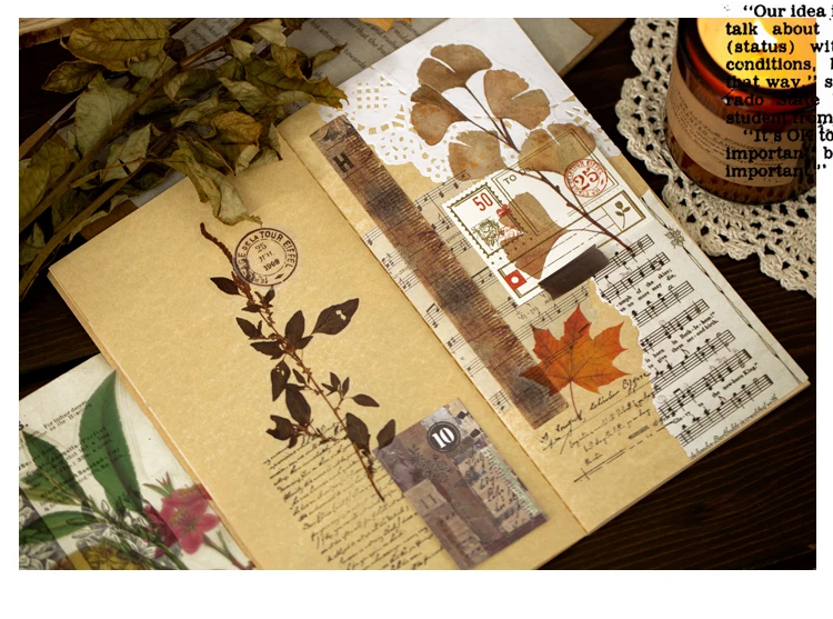 植物研究所贴纸包_12