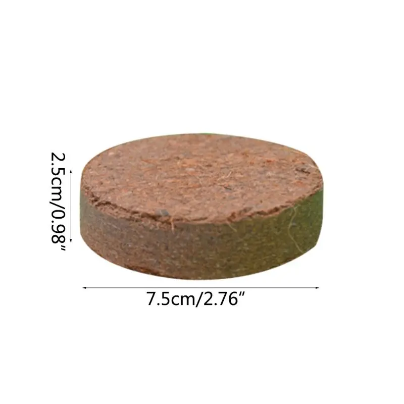Натуральное кокосовое волокно подложки кирпича почвы первой необходимости для террариумов рептилий C63B