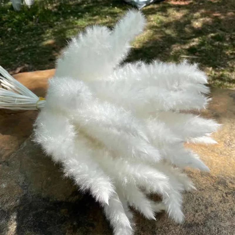 15Pcs Dried Reed Flower Arrangement Natural Pampas Grass For  Modern Home Decoration Party Backdrops Wedding Supplies