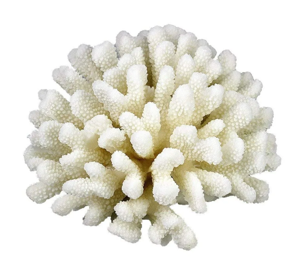 WHITE CORAL SCULPTURE HOME DECOR STYLISH DECORATIVE ACCENT CORAL FLOWER SEA BEACH DECORATION STATUES WHITE CORAL SCULPTURE HOME DECOR STYLISH DECORATIVE ACCENT CORAL FLOWER SEA BEACH DECORATION STATUES