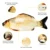 Electric Cat Toy 3D Fish USB Charging Simulation Fish Interactive Cat Toys for Cats Pet Toy cat supplies juguetes para gatos