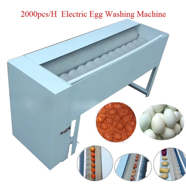 Machine à laver les œufs de caille, bonne qualité, prix d'usine, petit  poulet canard d'oie, nettoyeur d'œufs, offre spéciale - AliExpress