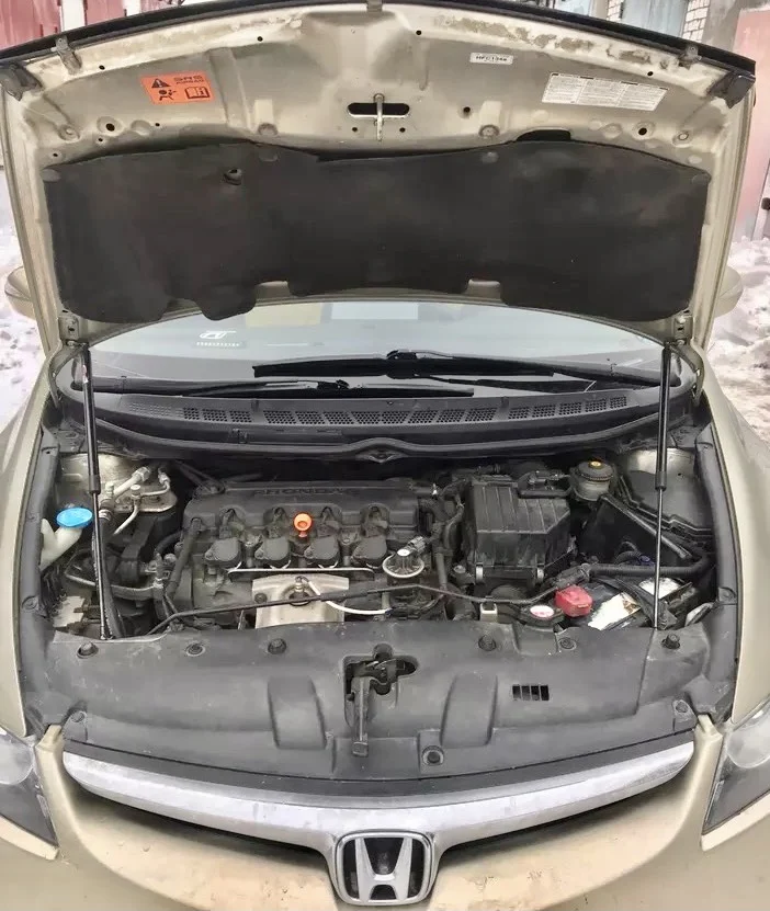 2008 Honda Civic Struts