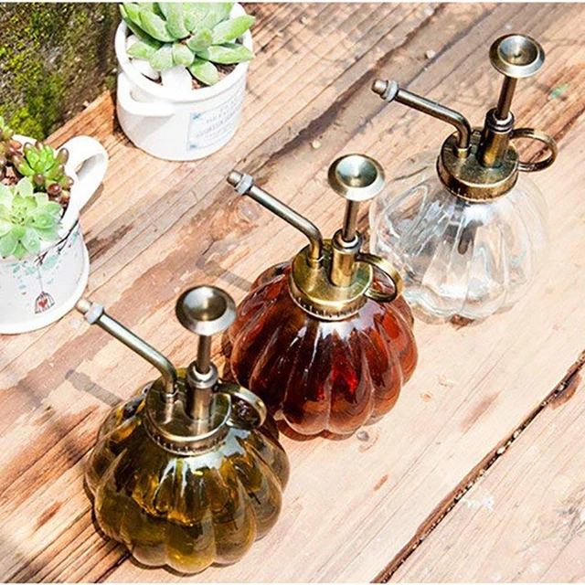 Pulvérisateur de bidons d'eau pour plantes et fleurs, pot d'arrosage,  bouteille en verre, pulvérisateur pour jardin, plantation, bouilloire,  outils, fournitures, 300ml - AliExpress