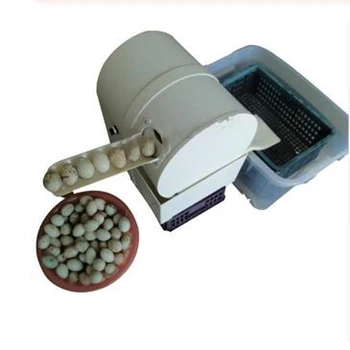 

Hot sale Egg washing machine chicken duck goose egg washer egg cleaner wash machine 2300 pcs/h poultry farm equipment