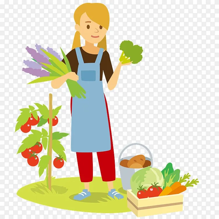 采摘蔬菜的少女