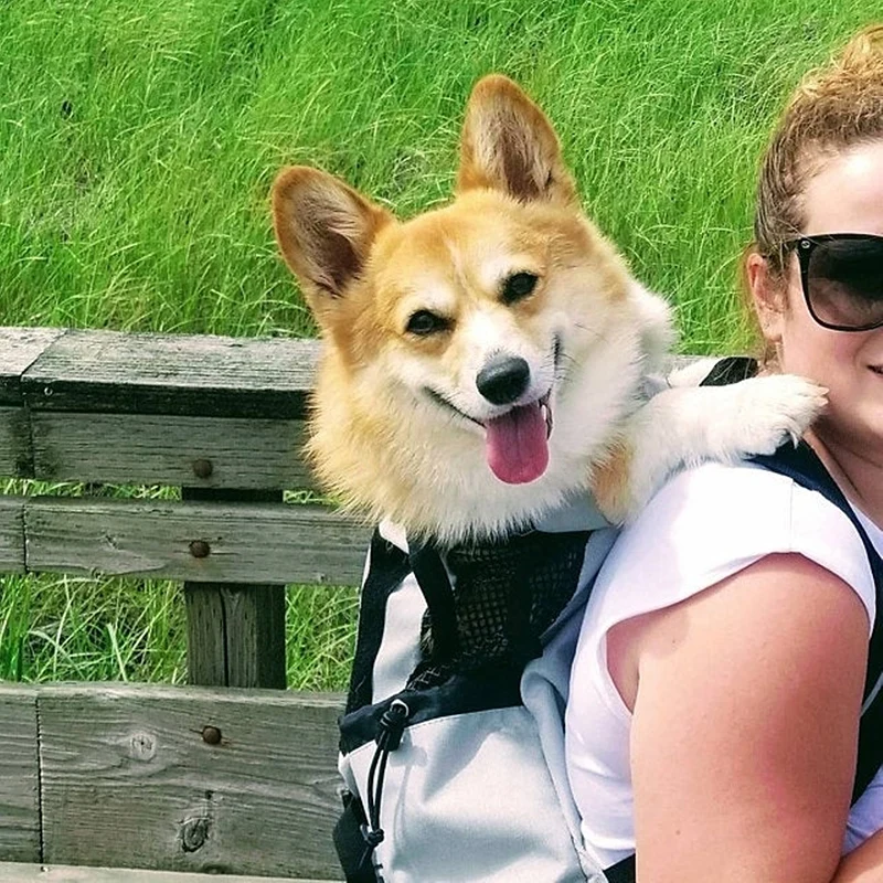 large pet backpack