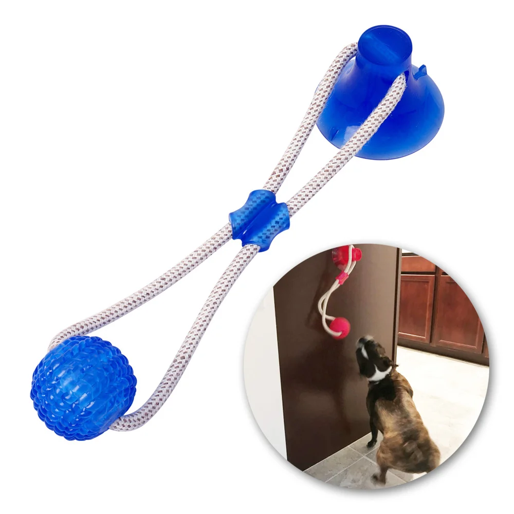 Dog Tug Toy with Suction Cup Worth Buy Store