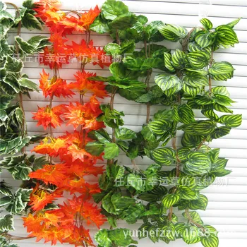 

Artificial Mention Cotyledon Rattan Fake Pot Plant Wall Decoration White Leaves Artificial Flower Grape Vines