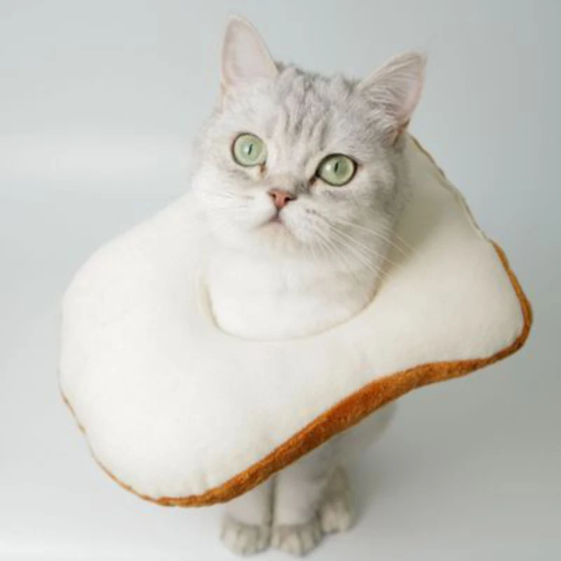 Забавный головной убор для питомца, щенка, кота, модный Повседневный хлопковый мягкий и забавный реквизит для кошки, тост, хлеб, набор головок, аксессуары для домашних животных