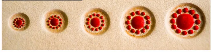 O1CN01kiD8IR1onhk6LrisC_!!91095270