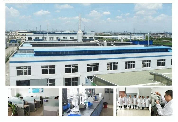 our factory