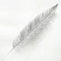 Silver B