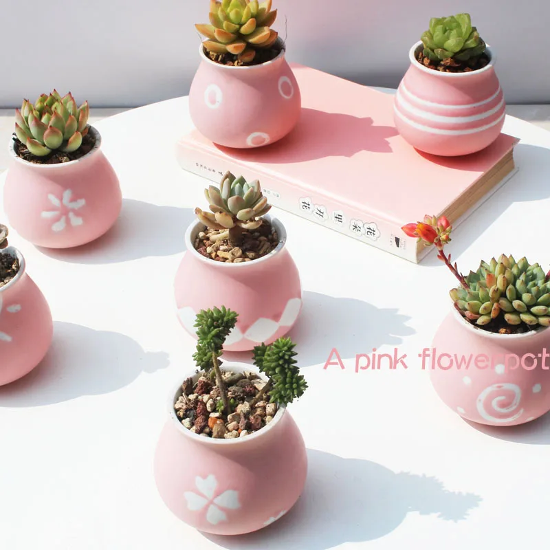 

Sublight Pink Ceramic Pot Young Girl Heart Fleshy Flower Pot Small Flower Valentine's Day Gift Hand Crafts Home Desktop Decor