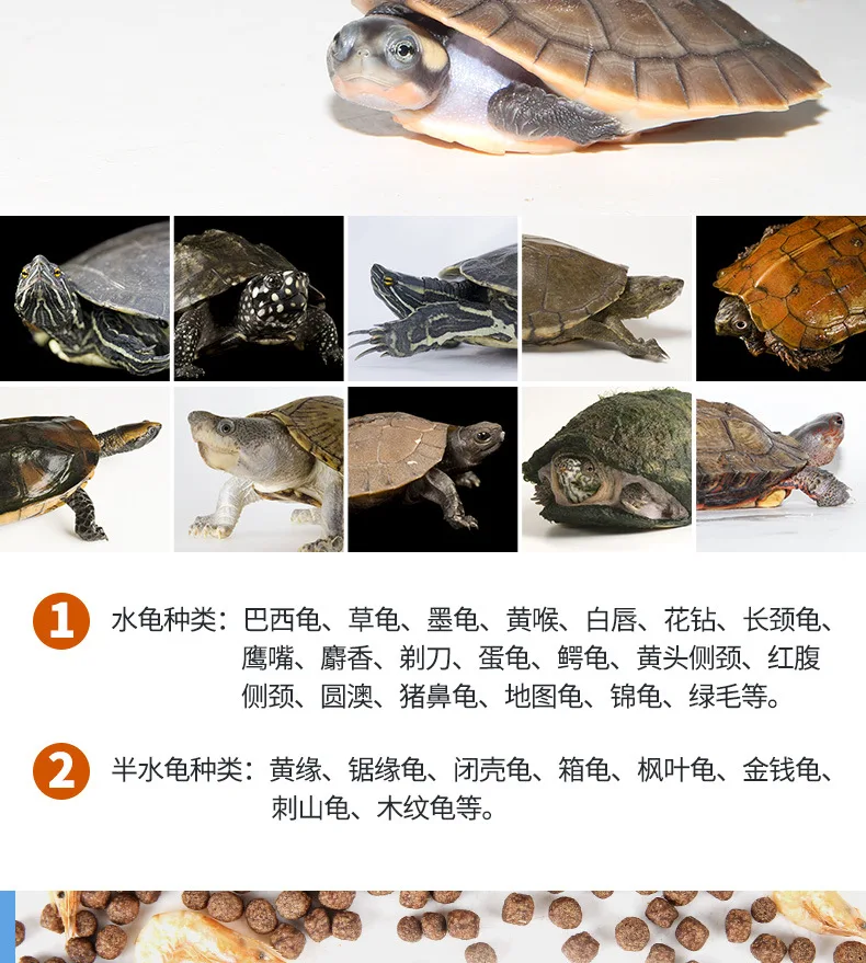 Jonsanty OEM in Bulk Food Little Turtle Grain Turtle Grains Turtle Feed Turtle Grain Granule