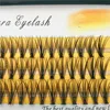 1box big capacity 60 bundles 20D eyelash extensions 0.07mm  C curl mink eyelashes Individual lashes natural style Free Shipping ► Photo 3/6