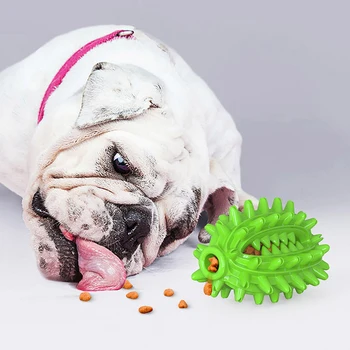 

Dog Toys Squeeze Squeaky Dog Toys Cactus Shaped Faux Bone Pet Chew Toys For Dogs Molar Clean Teeth for Dog Cat