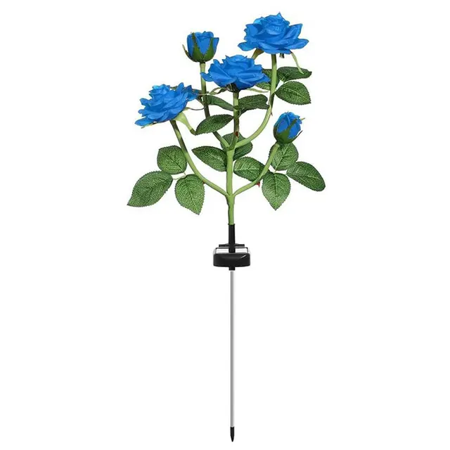 5 heads blue
