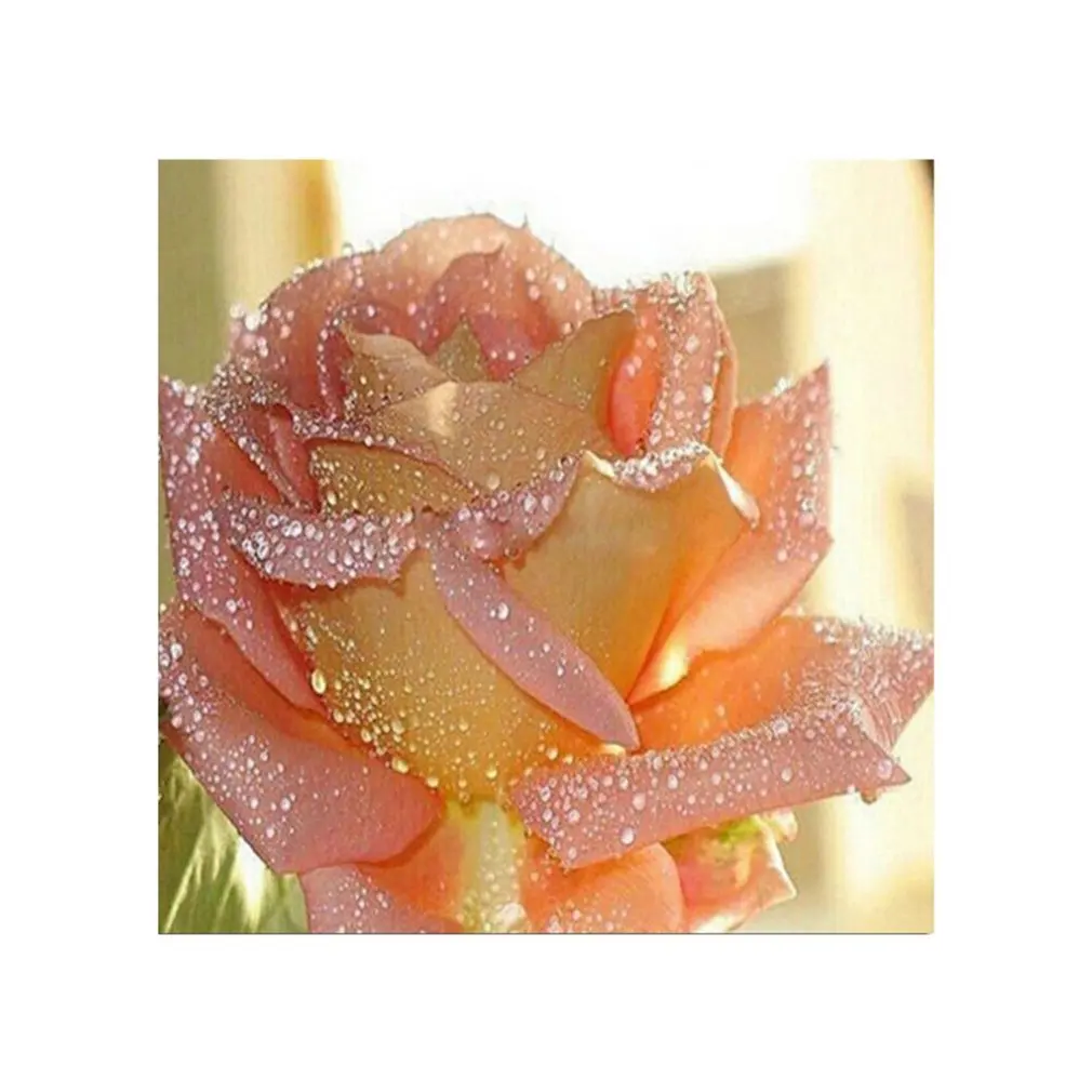 

Dripping Rose Painting Handmade Diamond Painting Cross Stitch Indoor Home Wall Decor Embroidery Decoration