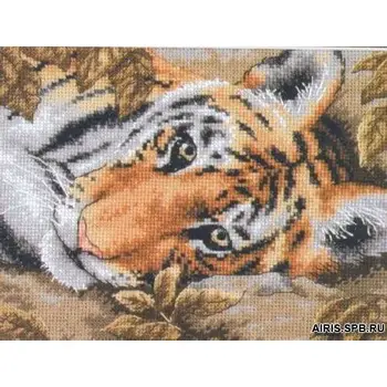 

65056-dms set for embroidery dimensions 'attractive Tigr', 18x13 cm
