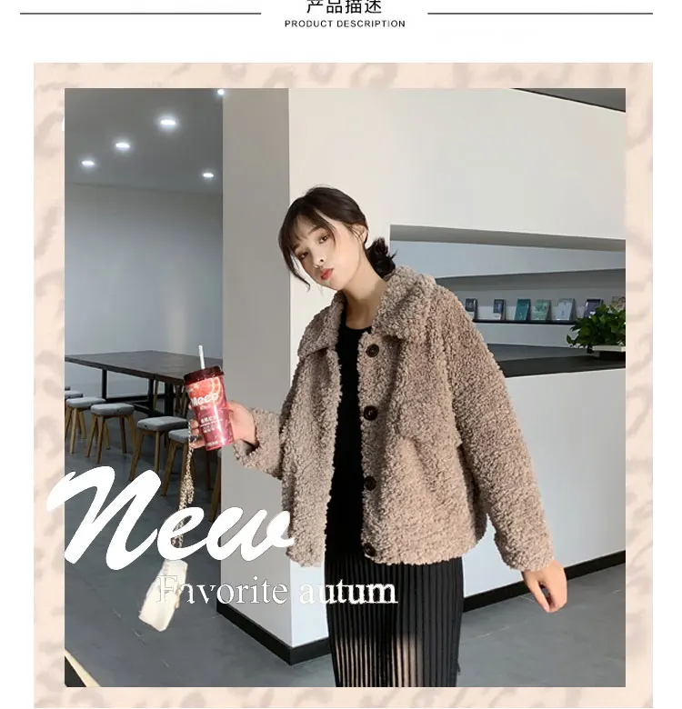 Coffee color New Lamb Fur Jacket Women's Short Winter Korean Loose Plush Fur One-piece Top Thick Faux Fur Fashion Wild Casual Simple - Цвет: Coffee color