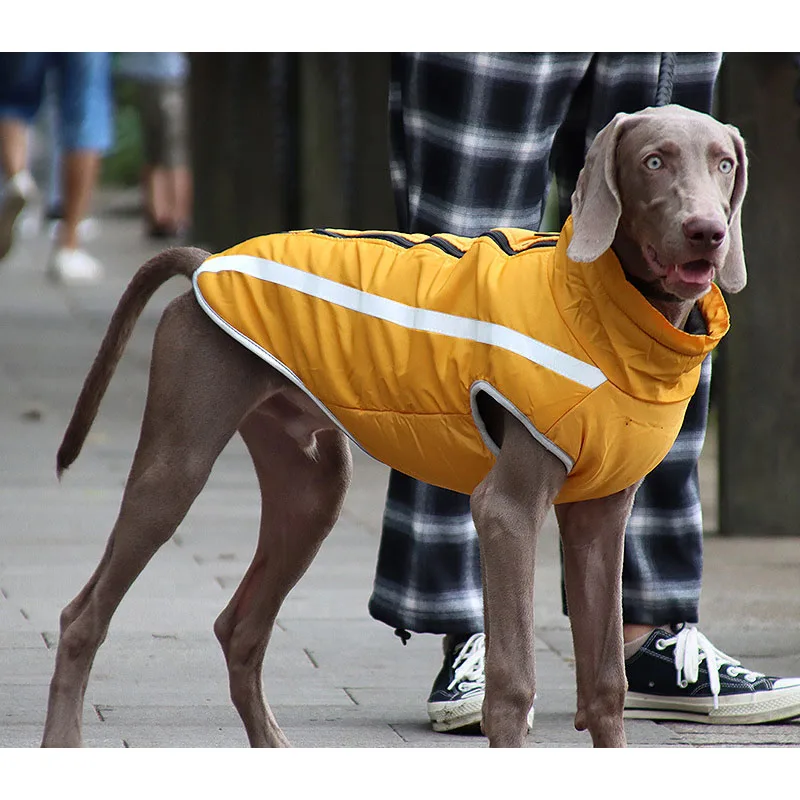 Winter Warm Big Dog Reflective Clothes For Large Dogs Medium Jacket Waterproof | Дом и сад