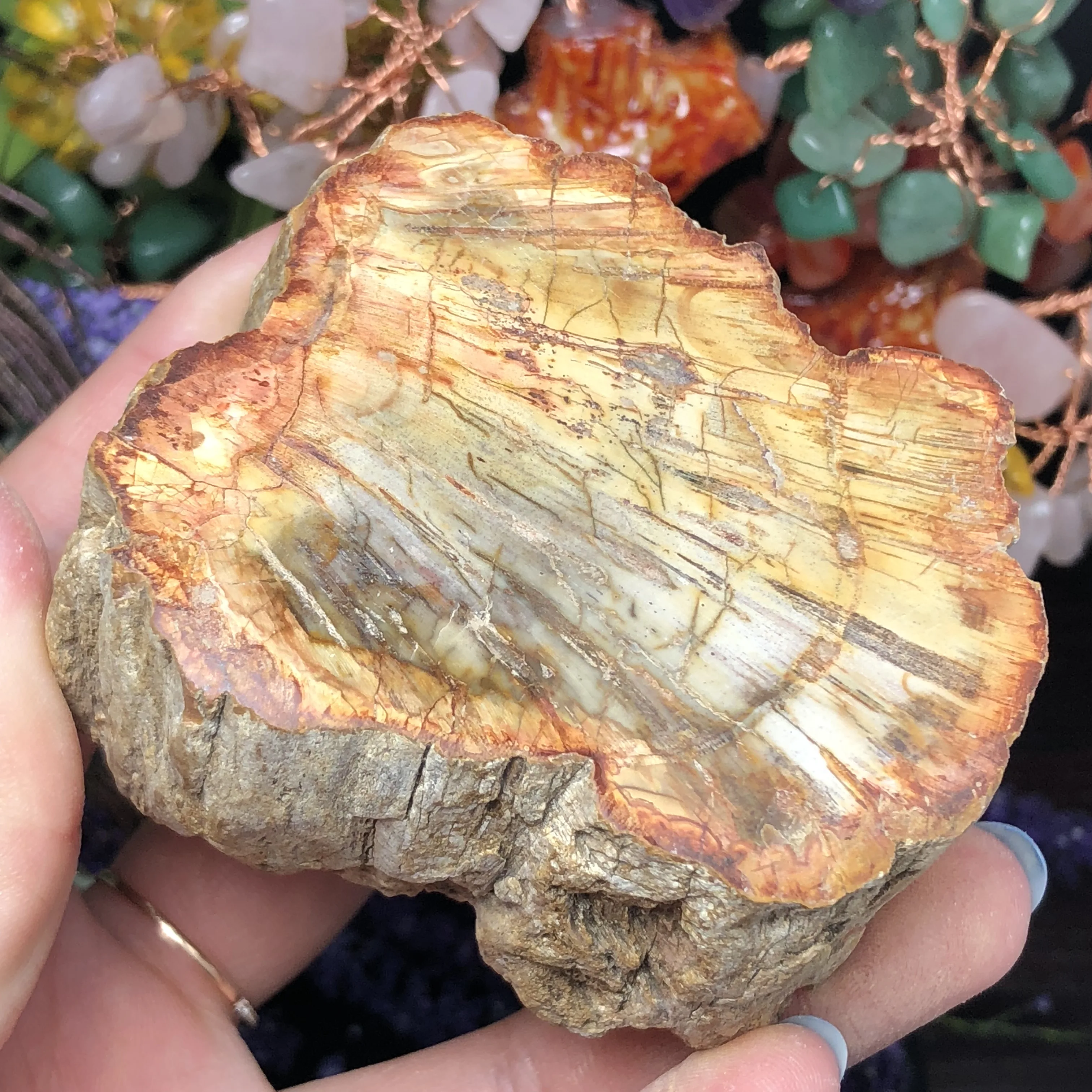 

Natural 100 % wood fossil stone decoration, home decoration purification of air