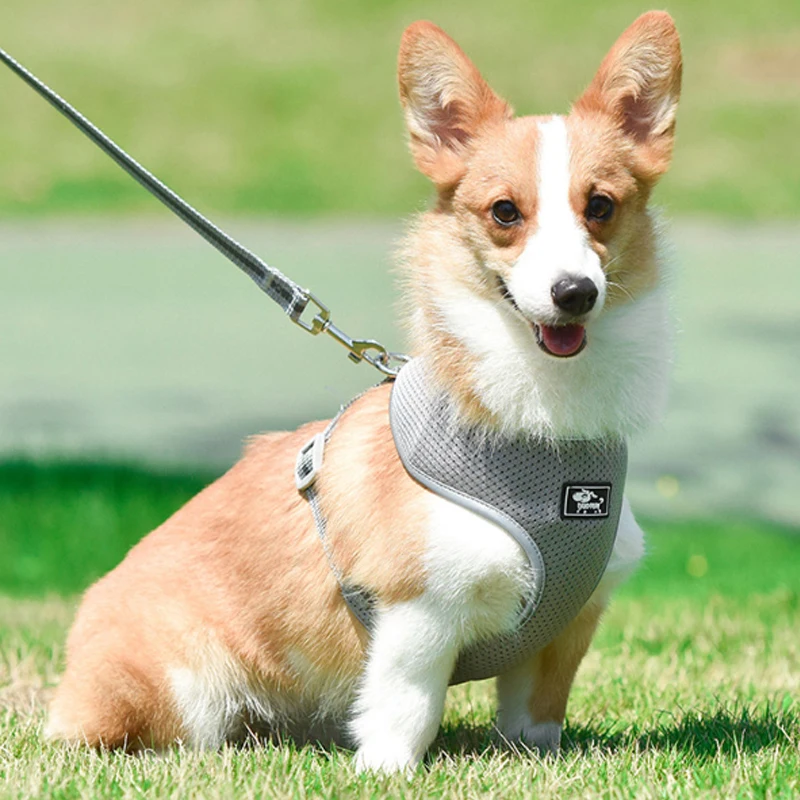 Нейлоновая шлейка и поводок SUPREPET для собак жилет щенков кошек светоотражающая