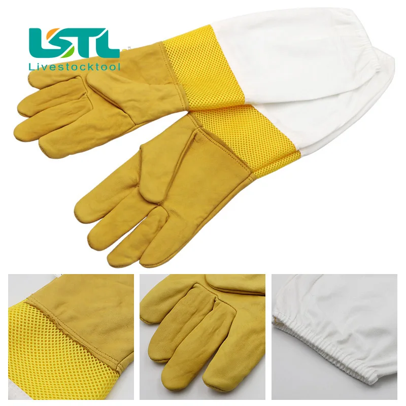 Slide image 91ab687d0b324b8d9658da3f98e5cb64