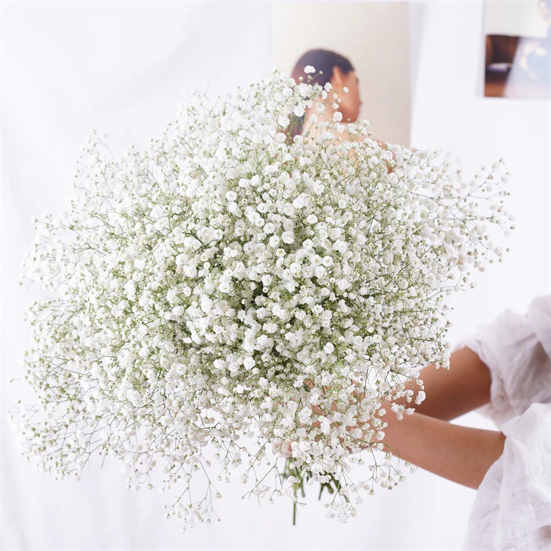 Pink Babys Breath Flower Hair Wreath, Preserved Real Gypsophila