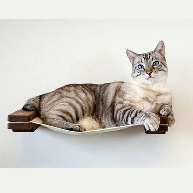 duvara monte kedi hamak yatak kedi agac ev kulesi oyuncak tirmanma duvari yavru yatak salonu oyun evi evcil hayvan mobilyalari furniture scratchers aliexpress duvara monte kedi hamak yatak kedi agac ev kulesi oyuncak tirmanma duvari yavru yatak salonu oyun evi evcil hayvan mobilyalari furniture scratchers aliexpress