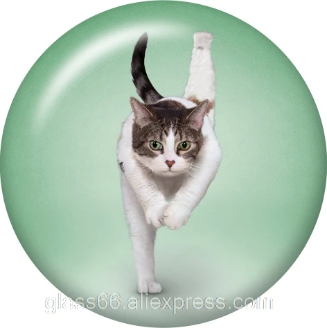 Кошка Йога Горячая 12 мм/18 мм/25 мм/40 мм круглый стеклянный кабошон демонстрационный плоский задний делая результаты TL4012 - Color: B5691