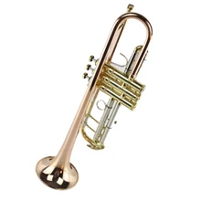 3 тона труба духовой инструмент профессиональные латунные трубы Музыкальные инструменты для детей Рождественский подарок-Золотой Bb/Серебряный Bb