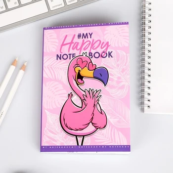

Notebook of a creative person in a paperback "Flamingo" A6 120 l 4638553