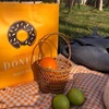 Ins Mini Rattan Basket Travel Picnic Storage Basket Wall Hanging Flower Baskets Desktop Sundries Organizer Home Decor Panier 바구니 6