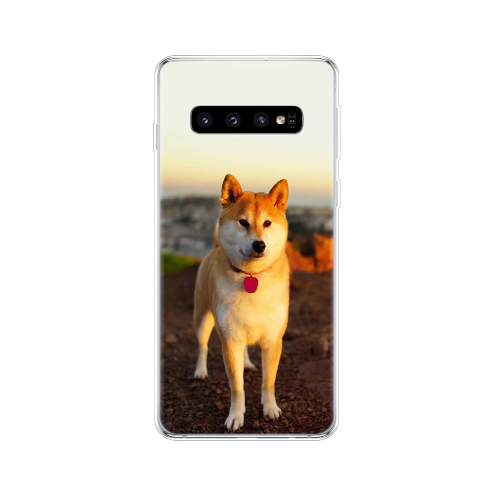 Чехол для samsung Galaxy S10 S10+ бампер силиконовый чехол из ТПУ для samsung S10 Plus copas G975F S 10 SM-G973F s10 e fundas cute - Цвет: 34515