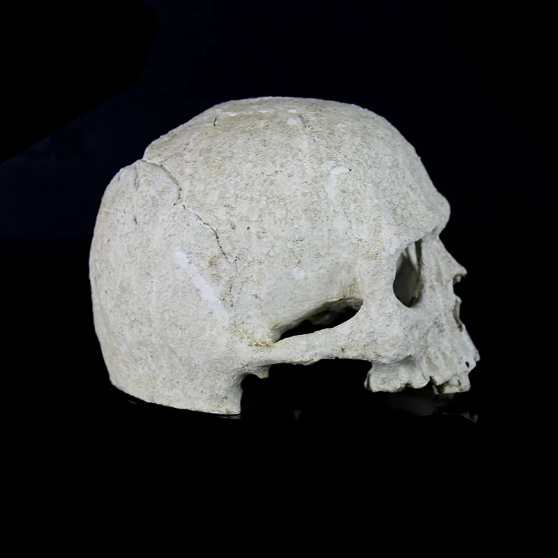 Resin Human Skull Skeleton Fish Tank Aquarium Ornament Terrarium Decorations Garden Statues personality Art Carving Statue Model